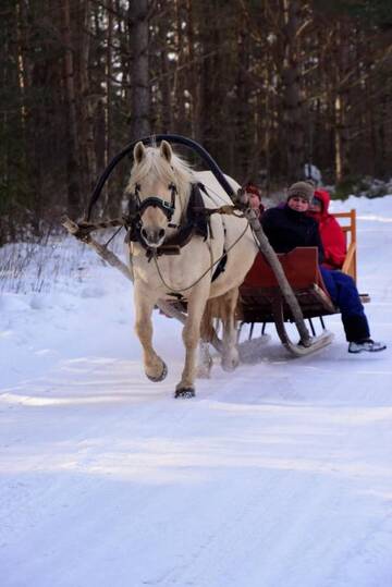 Фото Фермерские дома Tihuse Horsefarm B&amp;B г. Liiva 4