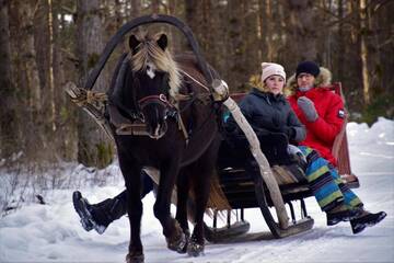 Фото Фермерские дома Tihuse Horsefarm B&amp;B г. Liiva 5