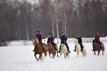 Фото номера Двухместный номер с 2 отдельными кроватями Фермерские дома Tihuse Horsefarm B&amp;B г. Liiva 6