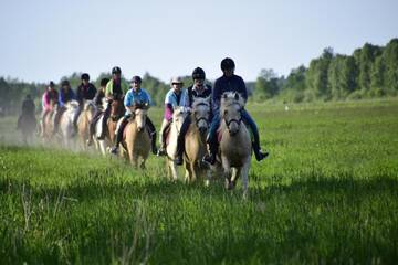 Фото Фермерские дома Tihuse Horsefarm B&amp;B г. Liiva 3